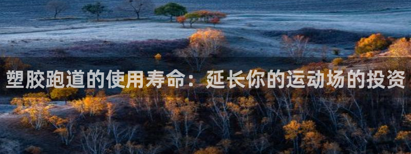 谈球吧APP开元：塑胶跑道的使用寿命：延长你的运动场的投资