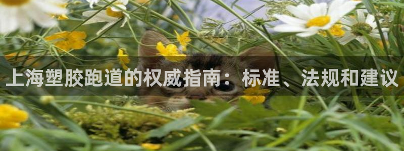 谈球吧体育官方入口：上海塑胶跑道的权威指南：标准、法规和建议