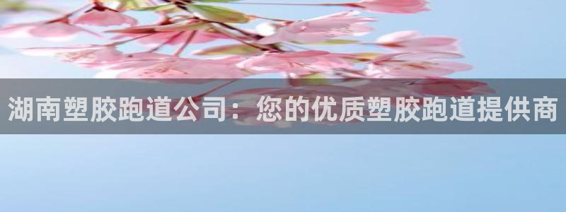 谈球吧官网app下载：湖南塑胶跑道公司：您的优质塑胶跑道提供商