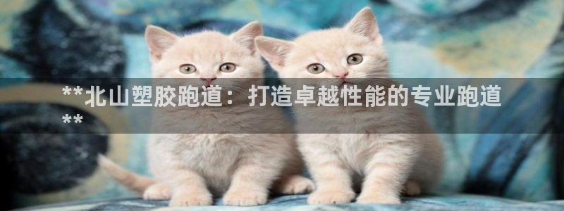 谈球吧买球是正规的吗：**北山塑胶跑道：打造卓越性能的专业跑道
**