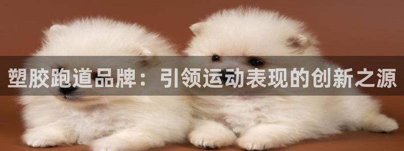 谈球吧APP入口：塑胶跑道品牌：引领运动表现的创新之源