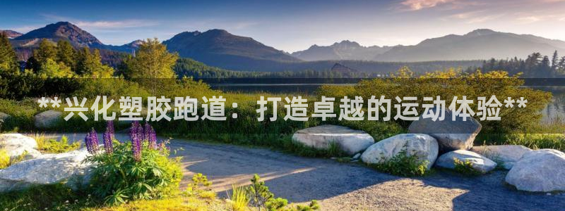 谈球吧是黑台子吗知乎：**兴化塑胶跑道：打造卓越的运动体验**