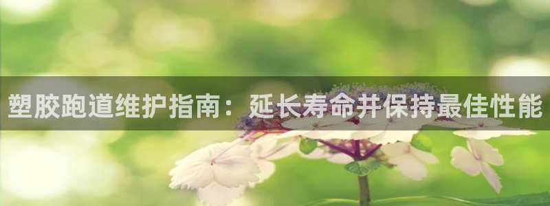 谈球吧网页登录：塑胶跑道维护指南：延长寿命并保持最佳性能