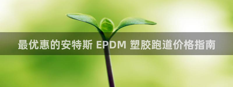 谈球吧app体育下载：最优惠的安特斯 EPDM 塑胶跑道价格指南
