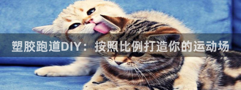 谈球吧体育综合：塑胶跑道DIY：按照比例打造你的运动场