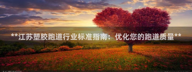 谈球吧体育app下载中心官方：**江苏塑胶跑道行业标准指南：优化您的跑道质量**