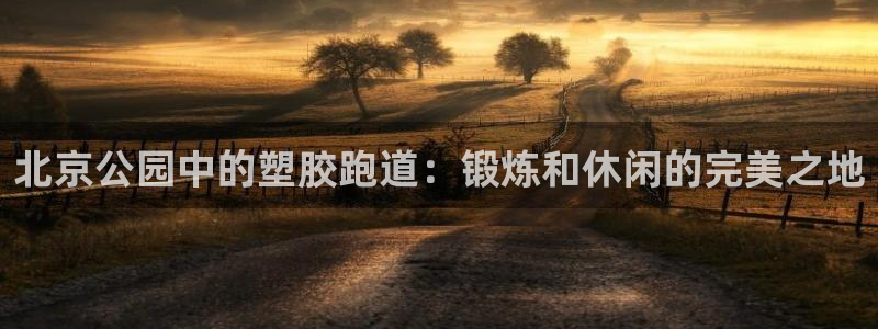 谈球吧算违法行为吗知乎：北京公园中的塑胶跑道：锻炼和休闲的完美之地