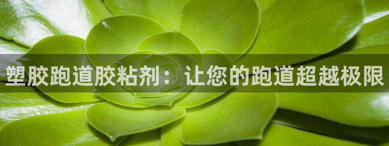 谈球吧网页登陆：塑胶跑道胶粘剂：让您的跑道超越极限
