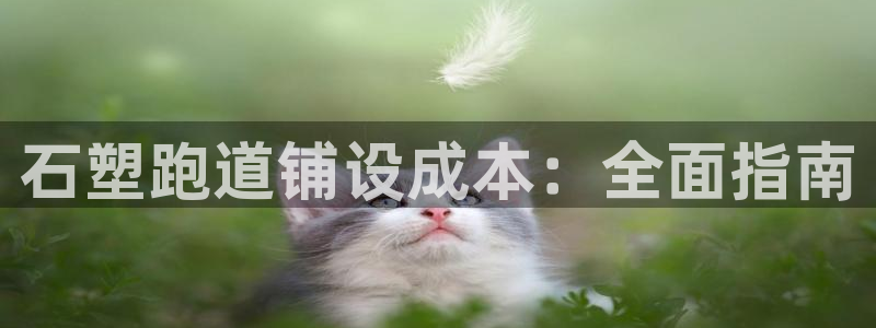 谈球吧APP入口：石塑跑道铺设成本：全面指南