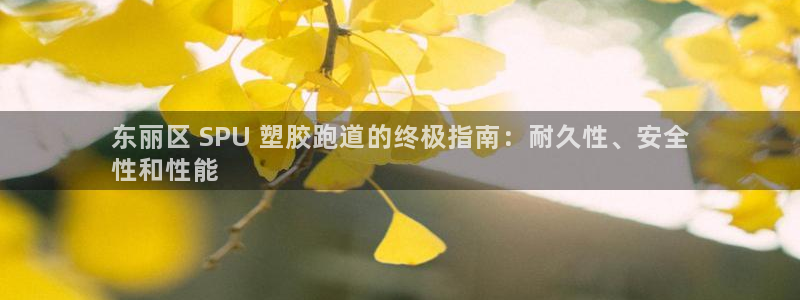 谈球吧是黑台子吗知乎小说：东丽区 SPU 塑胶跑道的