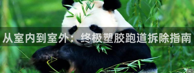 谈球吧官网在线入口免费观看：从室内到室外：终极塑胶跑道拆除指南