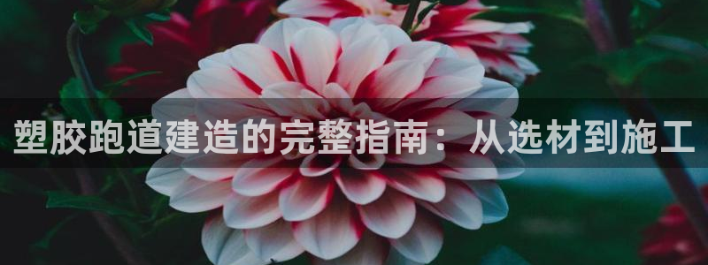 谈球吧体育app下载中心官网