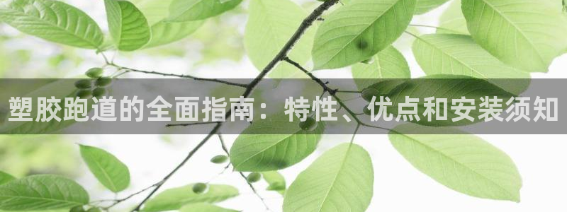 谈球吧中国：塑胶跑道的全面指南：特性、优点和安装须知