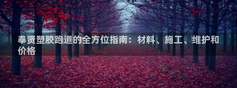 谈球吧体育app下载足球直播视频：奉贤塑胶跑道的全方位指南：材料、施工、维护和
价格