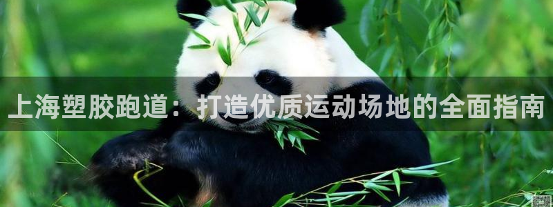谈球吧怎么样：上海塑胶跑道：打造优质运动场地的全面指南