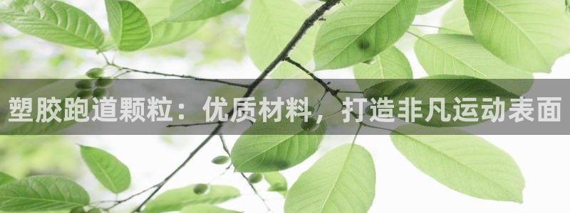 谈球吧app靠谱吗：塑胶跑道颗粒：优质材料，打造非凡运动表面