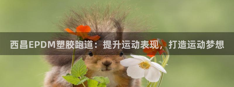 谈球吧平台正规吗可靠吗安全吗：西昌EPDM塑胶跑道：提升运动表现，打造运动梦想