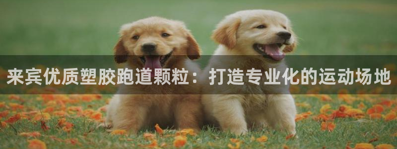 谈球吧体育app下载官网手机版苹果：来宾优质塑胶跑道颗粒：打造专业化的运动场地