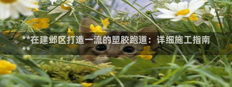 谈球吧体育app下载官网：**在建邺区打造一流的塑胶跑道：详细施工指南
**