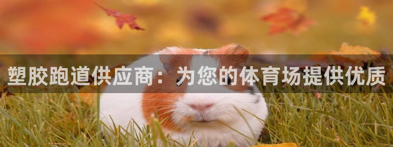 谈球吧怎么样：塑胶跑道供应商：为您的体育场提供优质