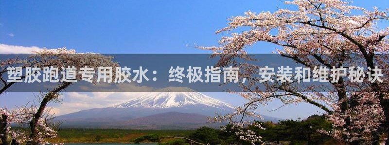 谈球吧APP开元：塑胶跑道专用胶水：终极指南，安装和维护秘诀