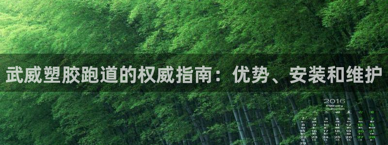 谈球吧买球靠谱吗：武威塑胶跑道的权威指南：优势、安装和维护