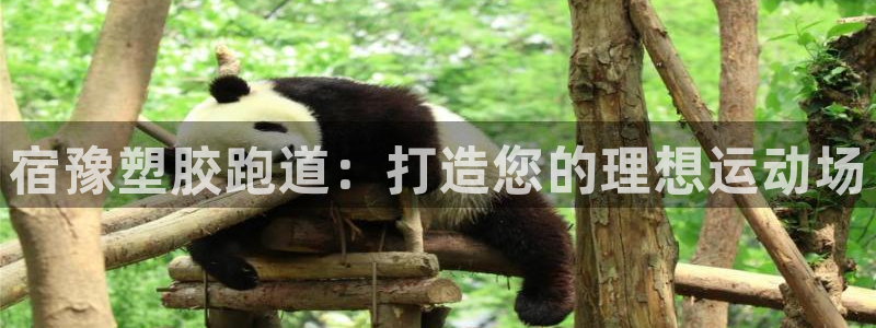 谈球吧体育app下载足球直播软件：宿豫塑胶跑道：打造