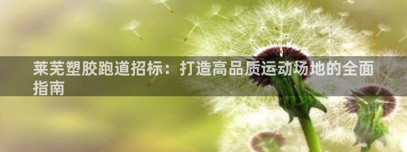 谈球吧官网app：莱芜塑胶跑道招标：打造高品质运动场地的全面
指南