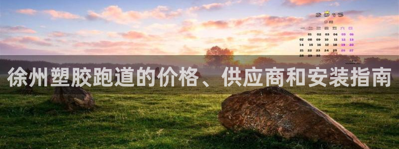 谈球吧官网在线入口手机版免费下载：徐州塑胶跑道的价格、供应商和安装指南