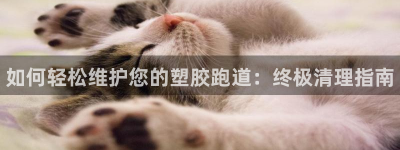 谈球吧官网在线入口免费观看高清版：如何轻松维护您的塑胶跑道：终极清理指南