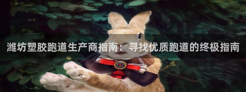 谈球吧平台app下载网址：潍坊塑胶跑道生产商指南：寻找优质跑道的终极指南