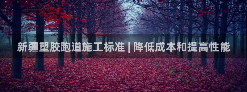 谈球吧是黑台子吗还是白台：新疆塑胶跑道施工标准 | 降低成本和提高性能