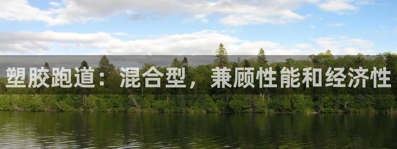 谈球吧官网首页：塑胶跑道：混合型，兼顾性能和经济性