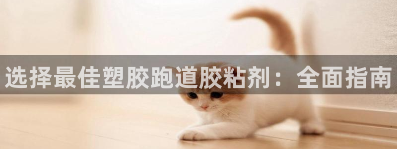 谈球吧可靠吗：选择最佳塑胶跑道胶粘剂：全面指南