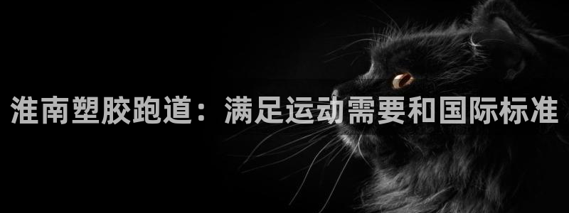 谈球吧nba：淮南塑胶跑道：满足运动需要和国际标准