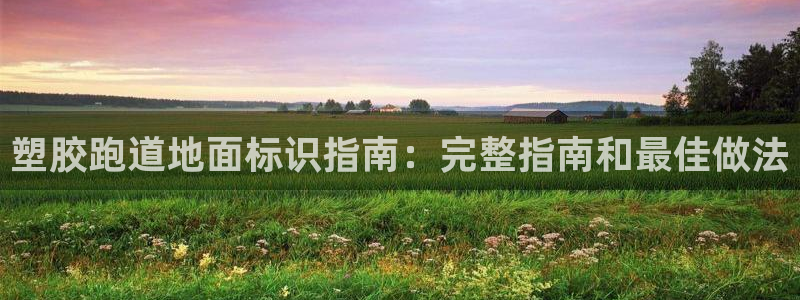 谈球吧娱乐app下载官网苹果手机：塑胶跑道地面标识指南：完整指南和最佳做法