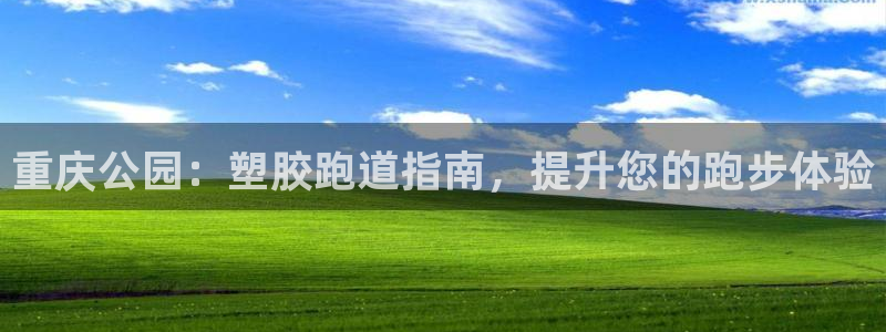 谈球吧体育app下载官网手机版：重庆公园：塑胶跑道指南，提升您的跑步体验