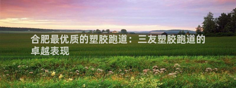 谈球吧打不开了：合肥最优质的塑胶跑道：三友塑胶跑道的
卓越表现