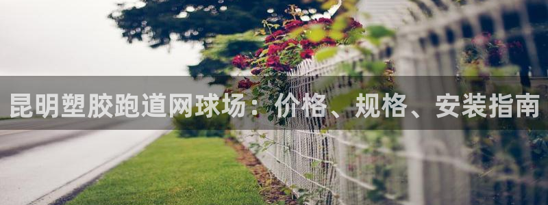 谈球吧官网在线入口免费观看高清版：昆明塑胶跑道网球场：价格、规格、安装指南