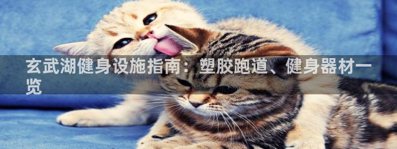 谈球吧是正规平台吗：玄武湖健身设施指南：塑胶跑道、健