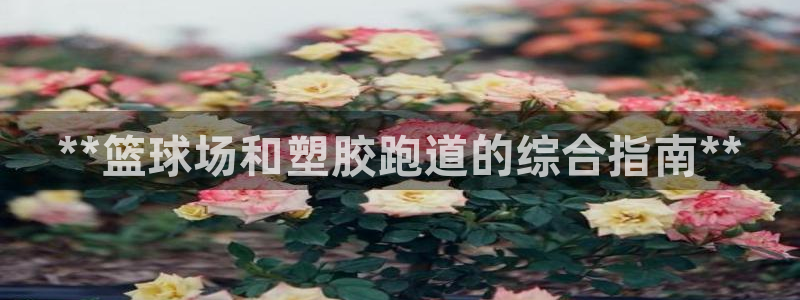 谈球吧的聊天软件：**篮球场和塑胶跑道的综合指南**
