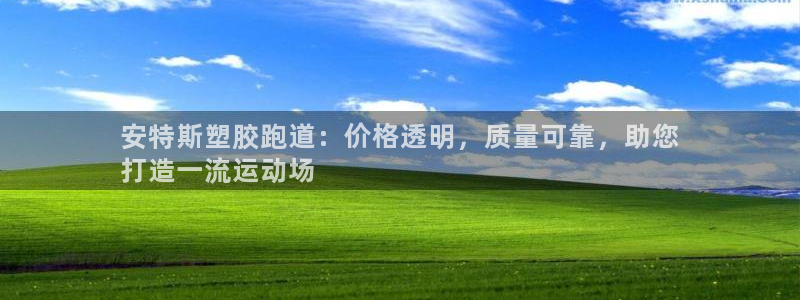 谈球吧体育首页综合登陆：安特斯塑胶跑道：价格透明，质量可靠，助您
打造一流运动场