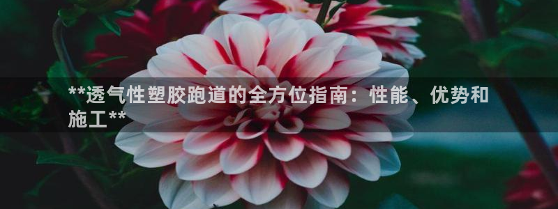 谈球吧APP入口：**透气性塑胶跑道的全方位指南：性能、优势和
施工**