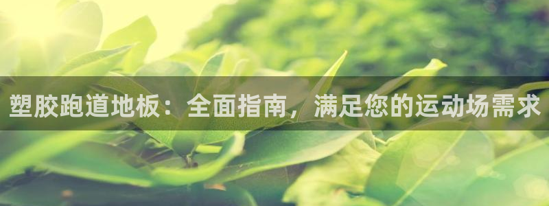 谈球吧app官网下载：塑胶跑道地板：全面指南，满足您的运动场需求