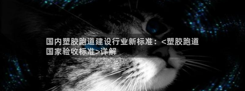 谈球吧体育app下载中心官网：国内塑胶跑道建设行业新标准：<塑胶跑道
国家验收标准>详解