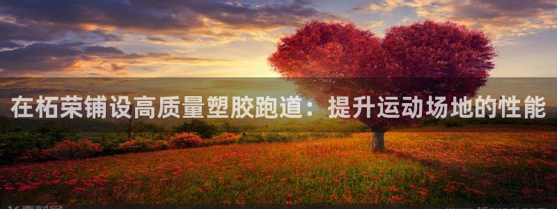 谈球吧的聊天软件下载：在柘荣铺设高质量塑胶跑道：提升运动场地的性能