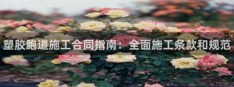 谈球吧是黑台子吗还是白台：塑胶跑道施工合同指南：全面施工条款和规范