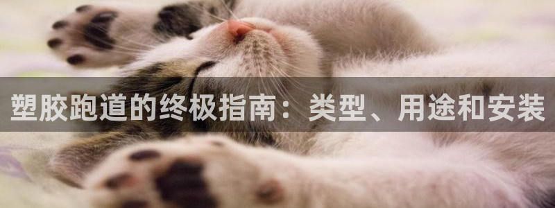 谈球吧App：塑胶跑道的终极指南：类型、用途和安装