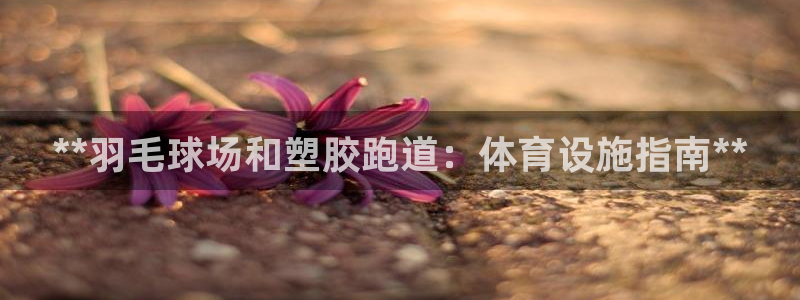 谈球吧打不开了：**羽毛球场和塑胶跑道：体育设施指南**