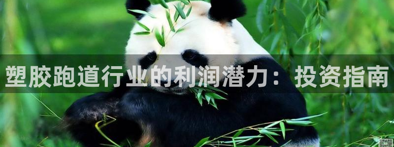 谈球吧tvt：塑胶跑道行业的利润潜力：投资指南